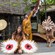 Tres mujeres y un hombre con atuendos tradicionales nativos realizan una danza