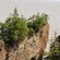 1 of 2 large rock formations in a muddy bay has trees growing on it