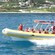 Passengers wave from a rigid hull inflatable boat as they cruise along the shoreline