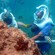Tropical fish swim around 4 helmet divers walking around a handrail next to a reef