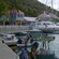 A marina filled with boats of various sizes and a boardwalk lined with charming shops and cottages