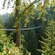 A suspension bridge set high in the treetops of a lush forest