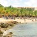 Soak up some warm, tropical sun while exploring the island's pristine beaches.