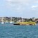 Sailboats are scattered on the water surrounding a tiny island close to a shoreline dotted with houses