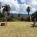 A well manicured lawn with a rock path and decorations on a coffee plantation in Puerto Plata, Dominican Republic