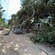 Outdoor recliners and tropical trees in front of the Coconut Cove beach outpost in Puerto Plata