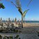 Palm trees, outdoor recliners and beach umbrellas on a white sand beach at Playa Dorada