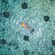 A Guest snorkeling in shallow water surrounded by stingrays