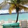 A beach with lounge chairs under a palm tree with views of the calm ocean