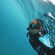 A person snorkeling near a school of small fish