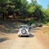 Open air 4 by 4 jeeps traveling along a dirt road through a forested area in Rhodes