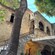 Historic stone building in Rhodes featuring arched walkways, a staircase and leafy trees shading a courtyard