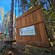 A section of the Tree Top Adventure Park and Ropes Course in Icy Strait Point, Alaska