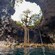 A natural limestone cenote with an open ceiling and water