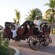 Guests smiling from an open top carriage as it travels a palm tree lined path near Cartagena's fortified walls