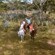 4 people posing with their hands up while horseback riding in a desert environment