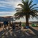 Five Guests with camping gear near a palm tree overlooking a shoreline with 2 tents, a hammock, a chair and a picnic table