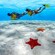 2 individuals in diving gear swimming over two starfish