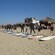 A group of surfers in wetsuits standing on their boards on the beach, with instructor guidance