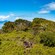 An aerial view of 3 friends surrounded by trees in a Hawaiian forest