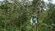 A woman zip lining in Alaska
