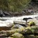 A bear standing on the edge of a rocky riverbank with white water rapids