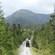 A group of UTVs driving on a dirt road surrounded by trees