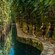 A group of people walking on a path next to a body of water in an open air cave in Progreso, Mexico