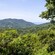 A view of the tropical forest of the Sierra Mountains outside Puerto Vallarta, Mexico