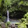 Emerald Pool, a waterfall in Roseau, Dominica