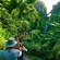 A group of people hiking through a lush forest with a waterfall