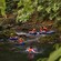 A group of people in inflatable tubes, life vests and helmets rafting down a river