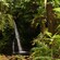 A waterfall in a tropical setting