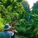Guests climb a stairway bordered by lush vegetation and leading to Trafalgar Falls, on Dominica