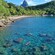 An aerial view of a Guest snorkeling at a beach in Soufriere, Saint Lucia
