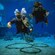 EPCOT Seas Adventures – DiveQuest