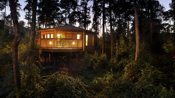 A Treehouse Villa nestled in the trees at Disney’s Saratoga Springs Resort & Spa
