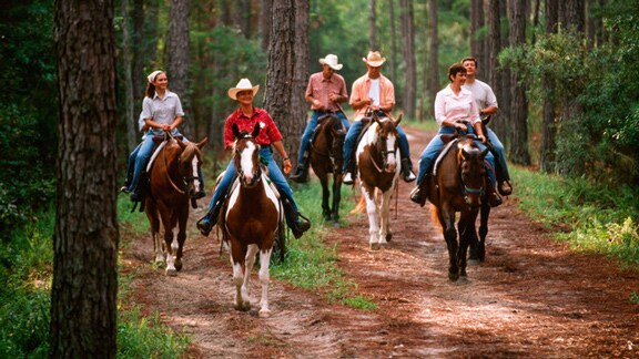 People riding horses on a trail