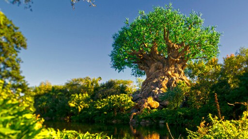The Tree of Life at Disney’s Animal Kingdom theme park, surrounded by lush foliage