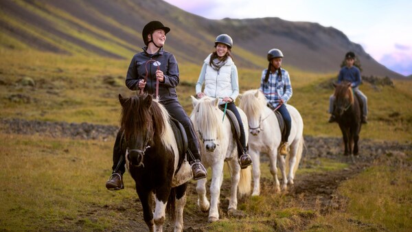 A Land Adventure Guide leads 3 Guests on a horseback ride along a grassy plain near the base of some mountains