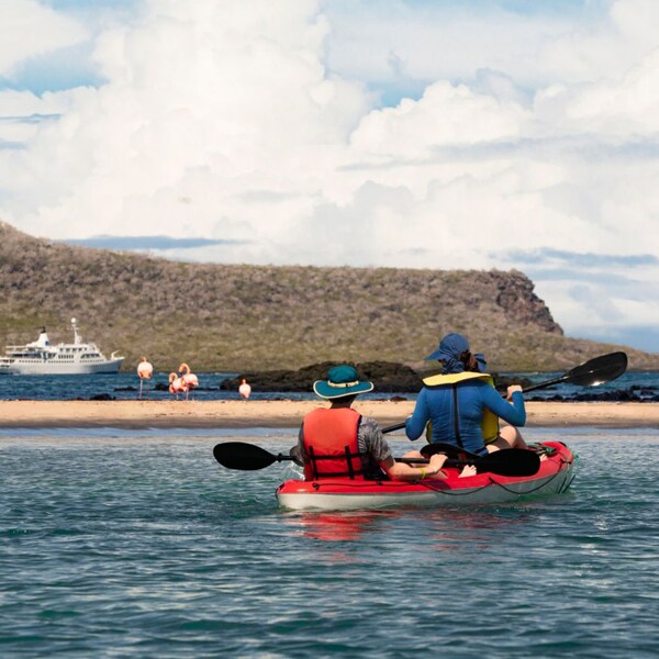 A man and a woman paddle in a shared kayak toward a beach filled with flamingos