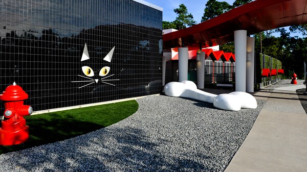 A shiny black exterior wall adorned with a large cat's face next to a gravel area with giant dog bone and a grass area with fire hydrant
