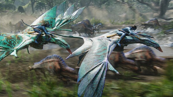 2022 Avatar 2 movie poster flying creature HD phone wallpaper  Peakpx