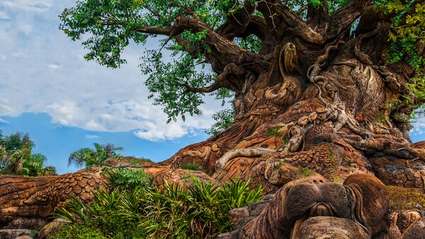 Tree of Life | Animal Kingdom Attractions | Walt Disney World Resort
