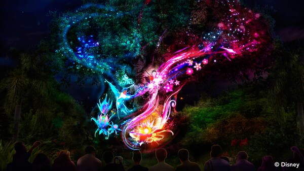 Tree of Life Nighttime Awakenings | Animal Kingdom Entertainment | Walt  Disney World Resort