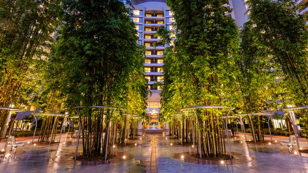 Los jardines llenos de árboles de Bay Lake Tower en Disney's Contemporary Resort