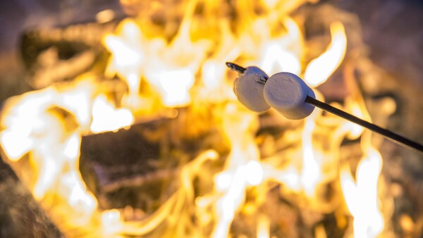 Two marshmallows on a stick roasting over a campfire