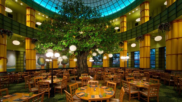 A large oak tree in the center of a dining room, surrounded by wood tables and chairs