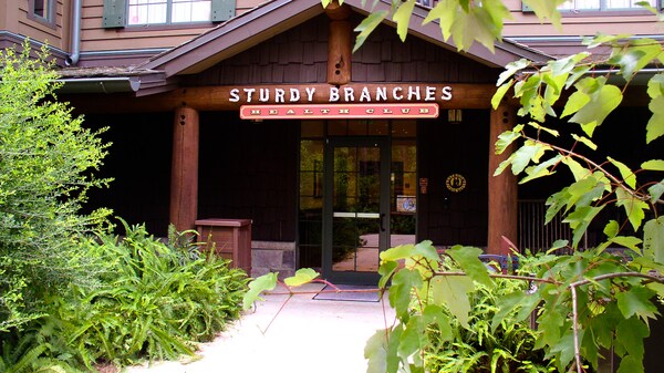 Entrance to a brown-colored building with sign that reads 