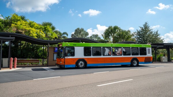 A Walt Disney World Resort bus with an illustration of Goofy on its windows